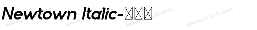 Newtown Italic字体转换